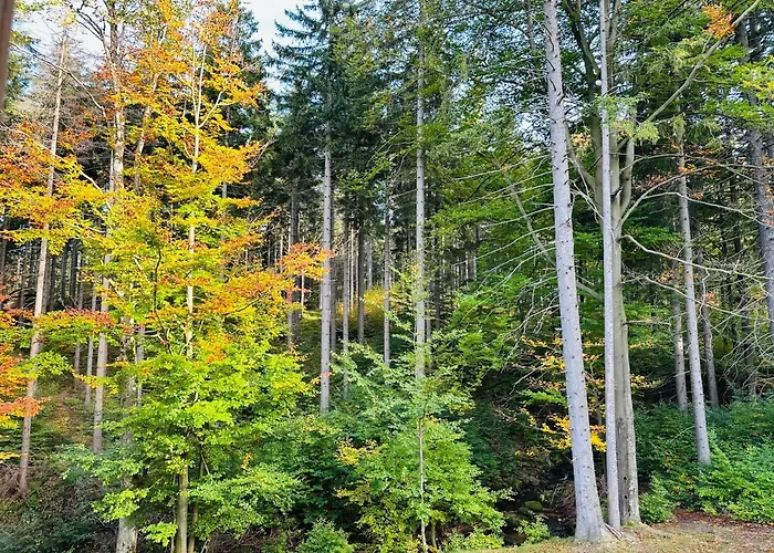 Nad Strumykiem Z Sauną - 5d *