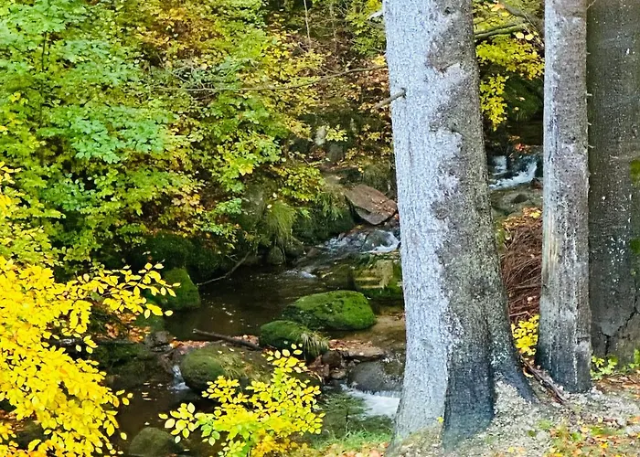 Nad Strumykiem Z Sauną - 5d Apartament *